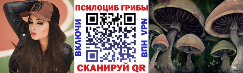 Псилоцибиновые грибы Cubensis  сколько стоит  Воркута 